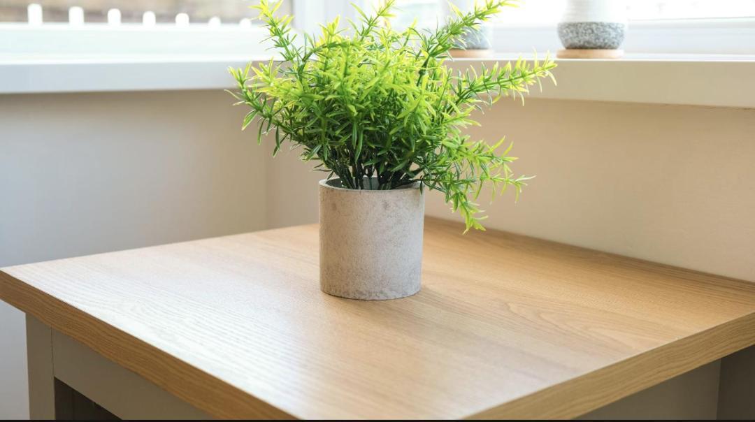 3 Bed, Parking Inc 15 Percent Off For Monthly Stays Westoe Eksteriør bilde